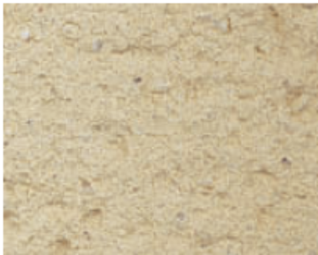 Picture of Parex Monorex GF 25kg T50 Sandy Earth