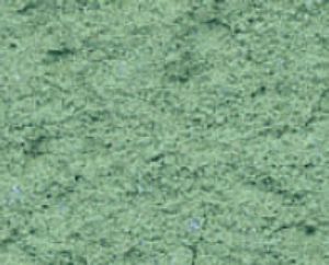 Picture of Parex Monorex GF 25kg V40 Emerald Green